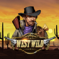 https://junior303.shop/public/uploads/games-image/116.WestWild.png