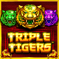 https://junior303.shop/public/uploads/games-image/vs1tigers.png