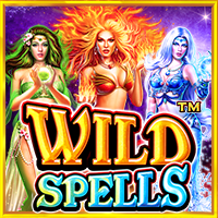 https://junior303.shop/public/uploads/games-image/vs25wildspells.png