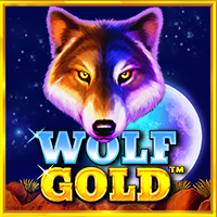 https://junior303.shop/public/uploads/games-image/vs25wolfgold.png