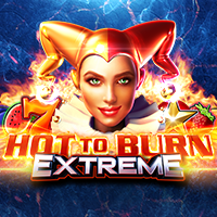 https://junior303.shop/public/uploads/games-image/vs40hotburnx.png