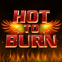 https://junior303.shop/public/uploads/games-image/vs5hotburn.png