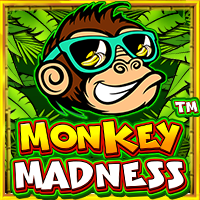 https://junior303.shop/public/uploads/games-image/vs9madmonkey.png